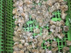 -众味海鲜大排档·活海鲜·潮汕味(南澳店)