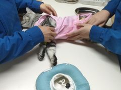 -谐和贝康宠物医院24小时·宠保定点(急重症转诊中心)