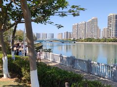 -五缘湾湿地公园