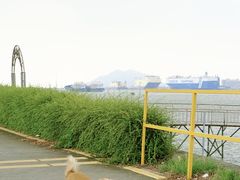 -海鸥岛