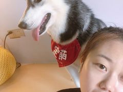 -Husky Go! 哈士奇体验馆·宠物咖啡厅狗咖