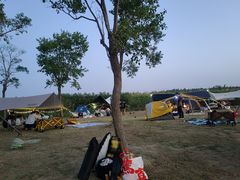 -春花秋色城市公园