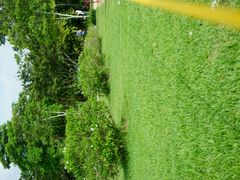 android_upload_pic-七珍佛山