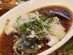 -锦水苑川菜馆(风格雅园店)