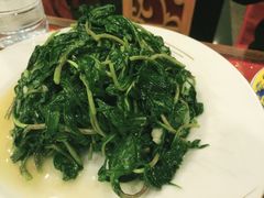 -丁老爷子苏香圆