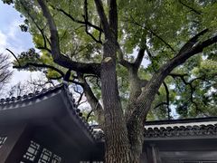 -包公祠