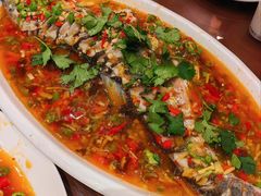 飞虹鱼-飞虹鱼馆(春华路店)