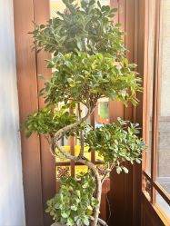 -禾壹净·素颜美问题肌肤修护中心