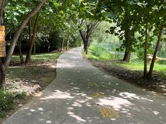 -泰安地下龙宫景区