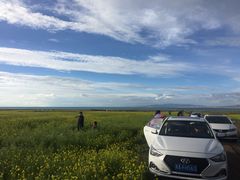 -青海湖国家重点风景名胜区