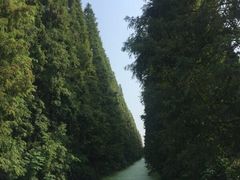 -金岛生态园烧烤露营地