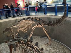 -国家自然博物馆