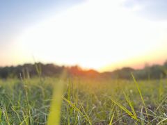 -露天矿生态公园