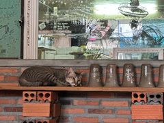 -Fresh Fruit Factory - Fruit Cuisine Restaurant