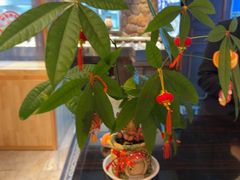 -青岛海景花园大酒店·白果树餐厅青岛菜