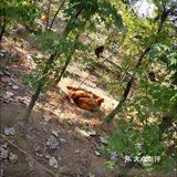 来户外亲近自然，喂食小动物吧！