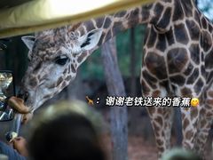 -清迈夜间动物园