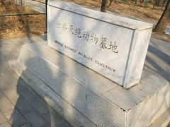 -北京麋鹿生态实验中心