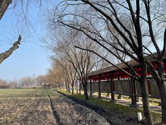 -长兴太湖图影湿地文化园