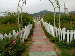 -玫瑰海岸文化旅游度假区