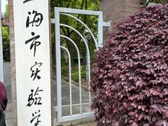 -上海市实验学校