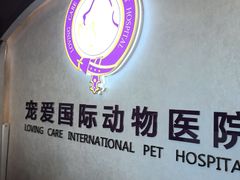 -宠爱国际动物医院·疑难骨科·心肾内科·皮肤科(太阳宫店)
