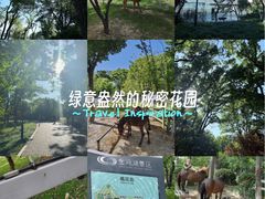 -金鸡湖桃花岛