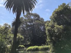 -墨尔本皇家植物园