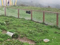 -硗碛藏寨·神木垒景区