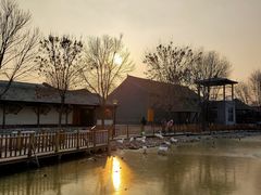 -河北村民俗体验园