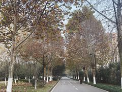 -大渡口区义渡公园