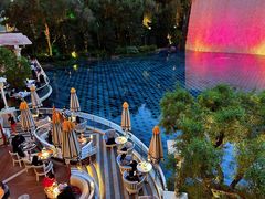 -拉斯维加斯永利酒店