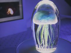 -上海琉璃艺术博物馆