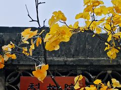 -潭柘寺景区