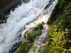 -沕沕水生态风景区