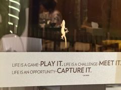 -三亚海棠湾万丽度假酒店