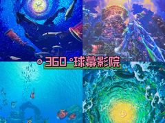 -海合安青岛极地海洋公园