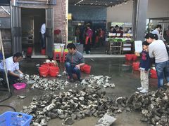 -蚝专家(北滘店)