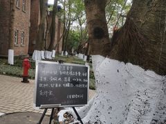 -黄桷坪涂鸦艺术街