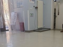 -中国农业大学动物医院