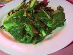 -旗鱼海番村(Orang Asli)