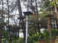 -芦仙山景区-飞越丛林探险乐园