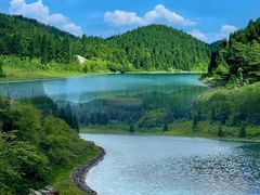 -武陵山森林公园