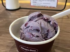 -哈根达斯(石家庄北国店)