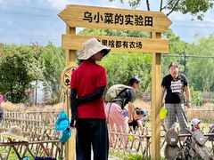 -乌村