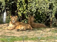 -北京野生动物园