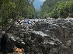 -石台牯牛降景区