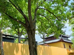 -灵岩山风景区