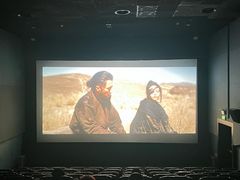 -山文星辉影城(济南和谐广场店)