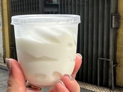 -洪馨椰子